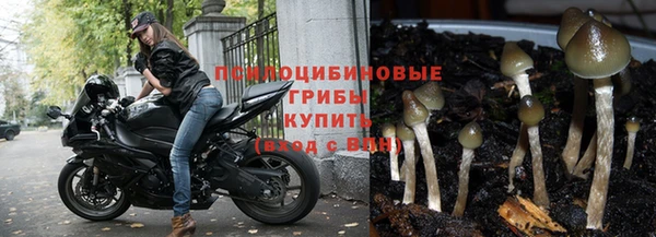 прущие крисы Армянск