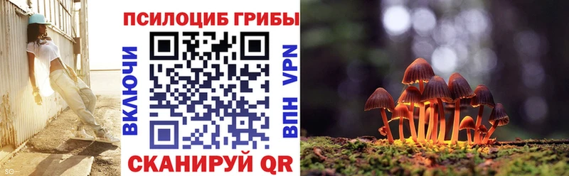 маркетплейс телеграм  где купить наркоту  Чернушка  Псилоцибиновые грибы мицелий 
